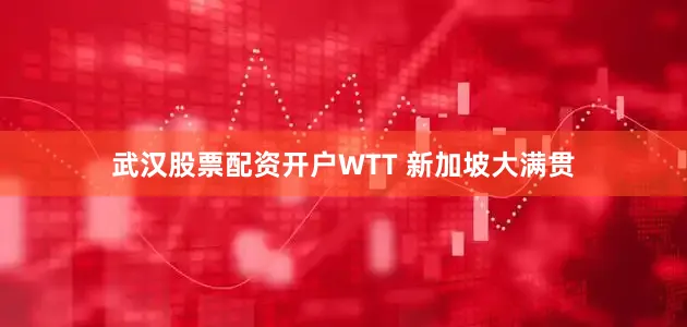 武汉股票配资开户WTT 新加坡大满贯