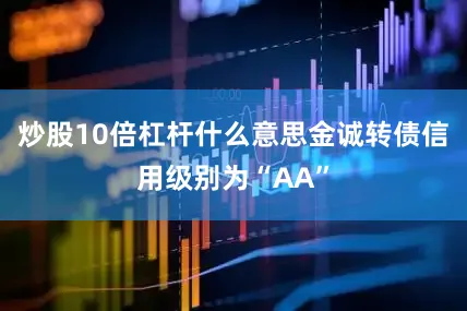炒股10倍杠杆什么意思金诚转债信用级别为“AA”