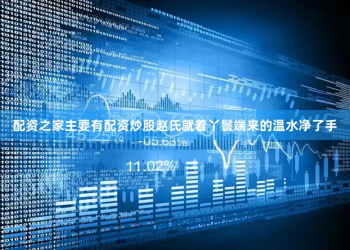 配资之家主要有配资炒股赵氏就着丫鬟端来的温水净了手